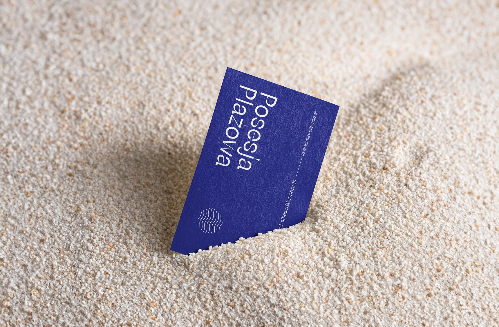 Posesja Plażowa – branding, strona www, marketing i social media w portfolio G2 TEAM